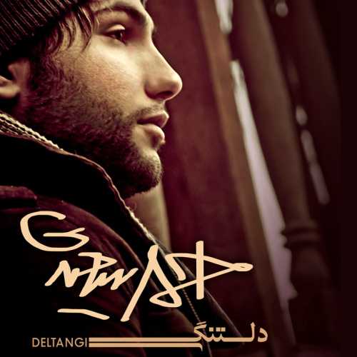 دانلود آهنگ احمد سعیدی دلتنگی دانلود آهنگ احمد سعیدی دلتنگی