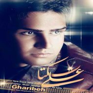 دانلود آهنگ علی زیبایی غریبه