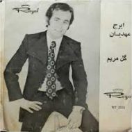 دانلود آهنگ ایرح مهدیان زمونه