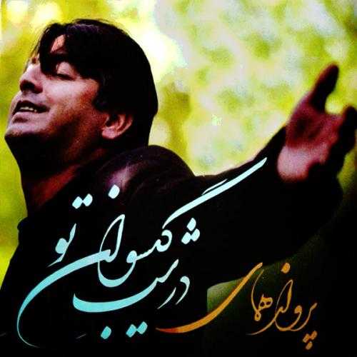 دانلود آهنگ پرواز همای درشب کیسوان تو