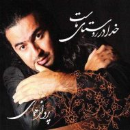 دانلود آهنگ پرواز همای دیدگان تک