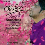 دانلود آهنگ رامین بیباک تا دنیا دنیاست