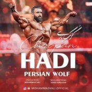 دانلود آهنگ محمد والی گرگ پارسی