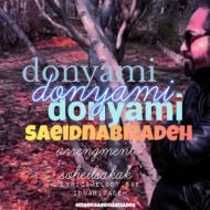 دانلود آهنگ سعید نبی زاده دنیامی