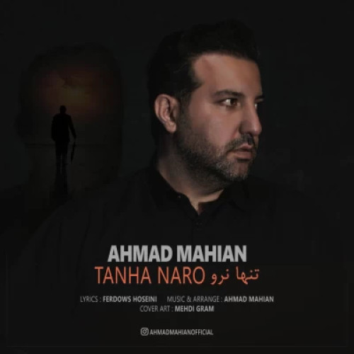 دانلود آهنگ احمد ماهیان تنها نرو