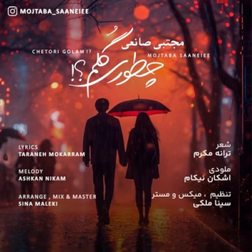 دانلود آهنگ مجتبی صانعی چطوری گلم دانلود آهنگ مجتبی صانعی چطوری گلم
