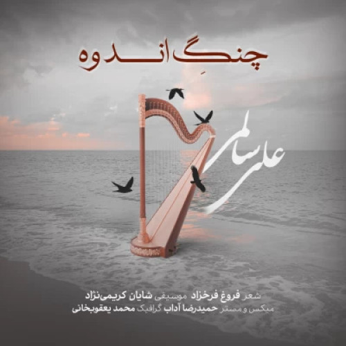 دانلود آهنگ علی سالمی چنگ اندوه دانلود آهنگ علی سالمی چنگ اندوه