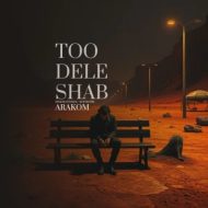 دانلود آهنگ آراکوم تو دل شب
