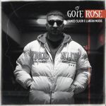 دانلود آلبوم جديد “حامد اسلش ” به نام گل رز