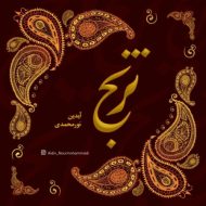 دانلود آهنگ آیدین نورمحمدی ترنج