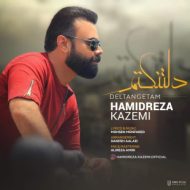 دانلود آهنگ حمیدرضا کاظمی دلتنگم