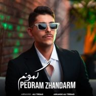 دانلود آهنگ پدرام ژاندارم گمونم