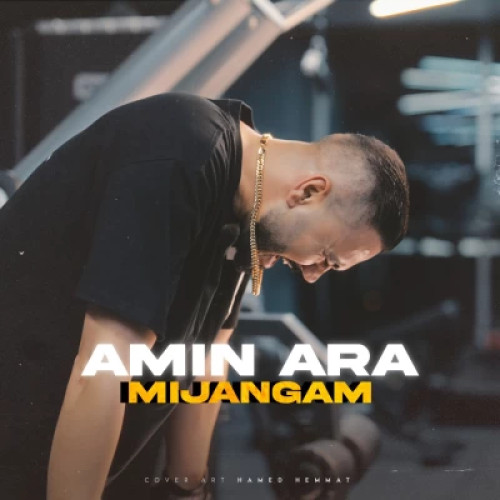 دانلود آهنگ امین آرا میجنگم