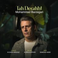 دانلود آهنگ محمد برزگری تک درخت