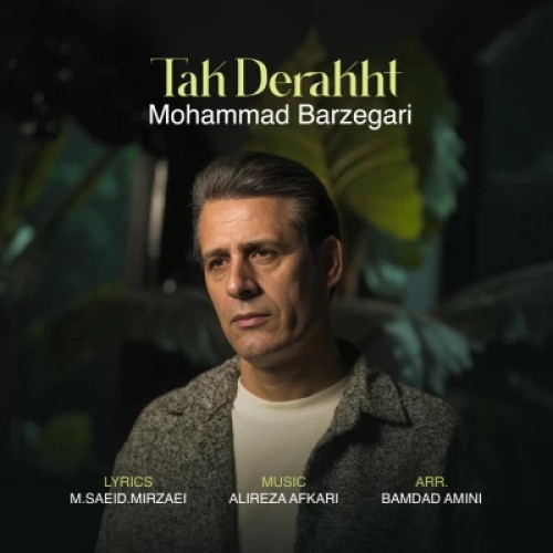 دانلود آهنگ محمد برزگری تک درخت دانلود آهنگ محمد برزگری تک درخت