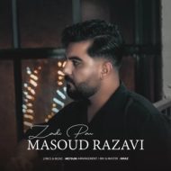 دانلود آهنگ مسعود رضوی زدی پر
