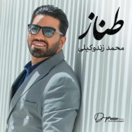 دانلود آهنگ محمد زندوکیلی طناز