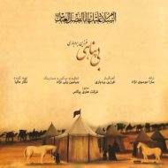 دانلود آهنگ فرزین بردباری بی پناهی