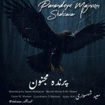 دانلود آهنگ سعید شهسواری (شهسوار) پرنده مجنون