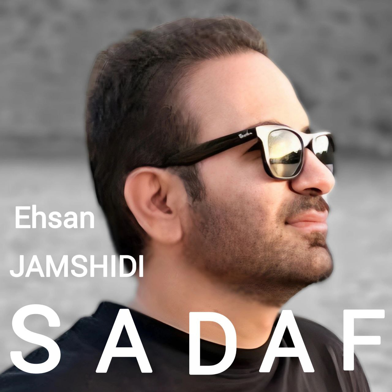دانلود آهنگ صدف احسان جمشیدی