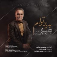 دانلود آهنگ چنگیز حبیبیان به یاد توام
