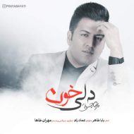 دانلود آهنگ پویا بیاتی دلی خون