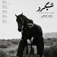 دانلود آهنگ محمد شجاعی شبگرد