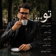 دانلود آهنگ مجتبی صانعی تو