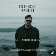 دانلود آهنگ علی عبدالمالکی تو دوست داشتی