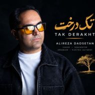 دانلود آهنگ علیرضا دادستان تک درخت