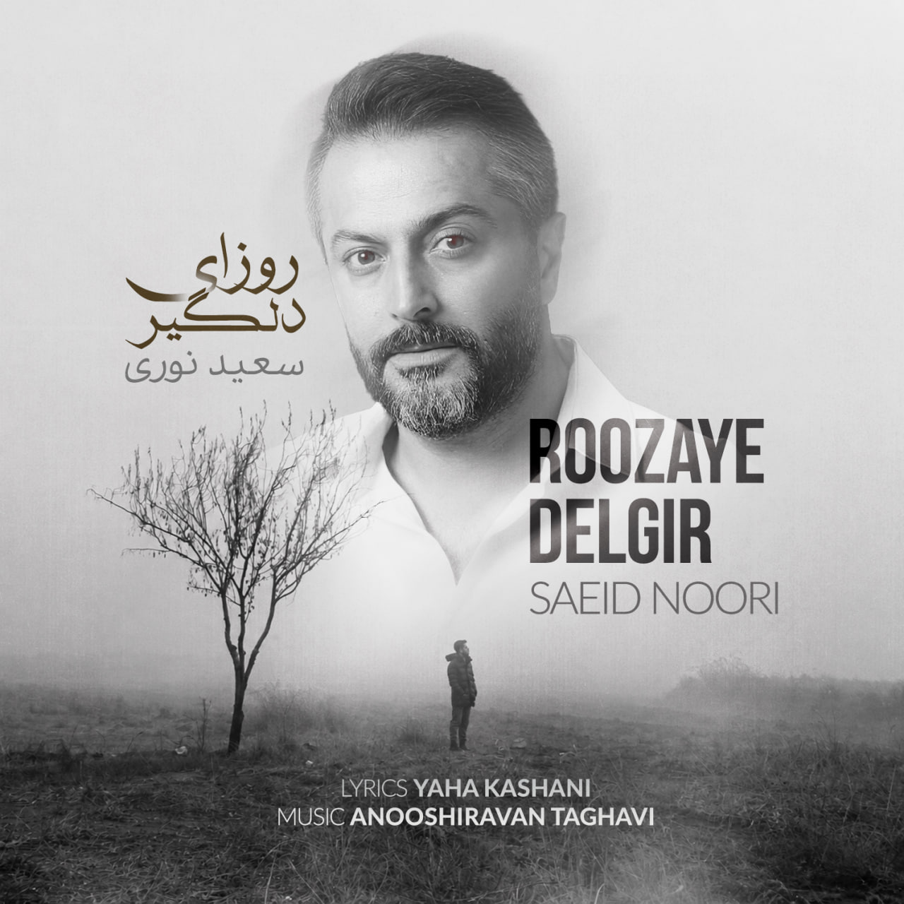 دانلود آهنگ روزای دلگیر سعید نوری دانلود آهنگ روزای دلگیر سعید نوری